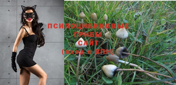 гашик Няндома