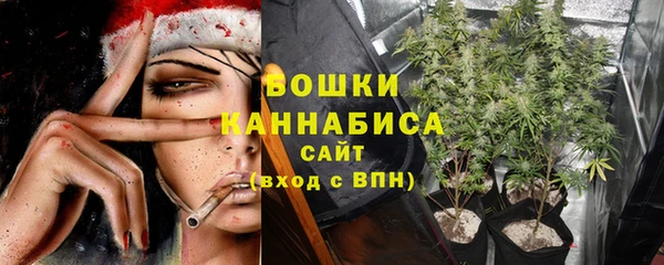 первитин Осташков