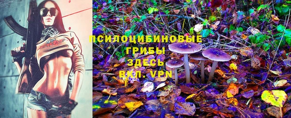 первитин Осташков