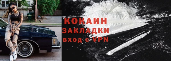 гашик Няндома