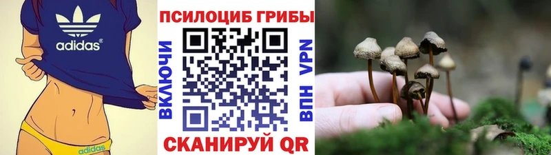 Галлюциногенные грибы мухоморы  Лодейное Поле 